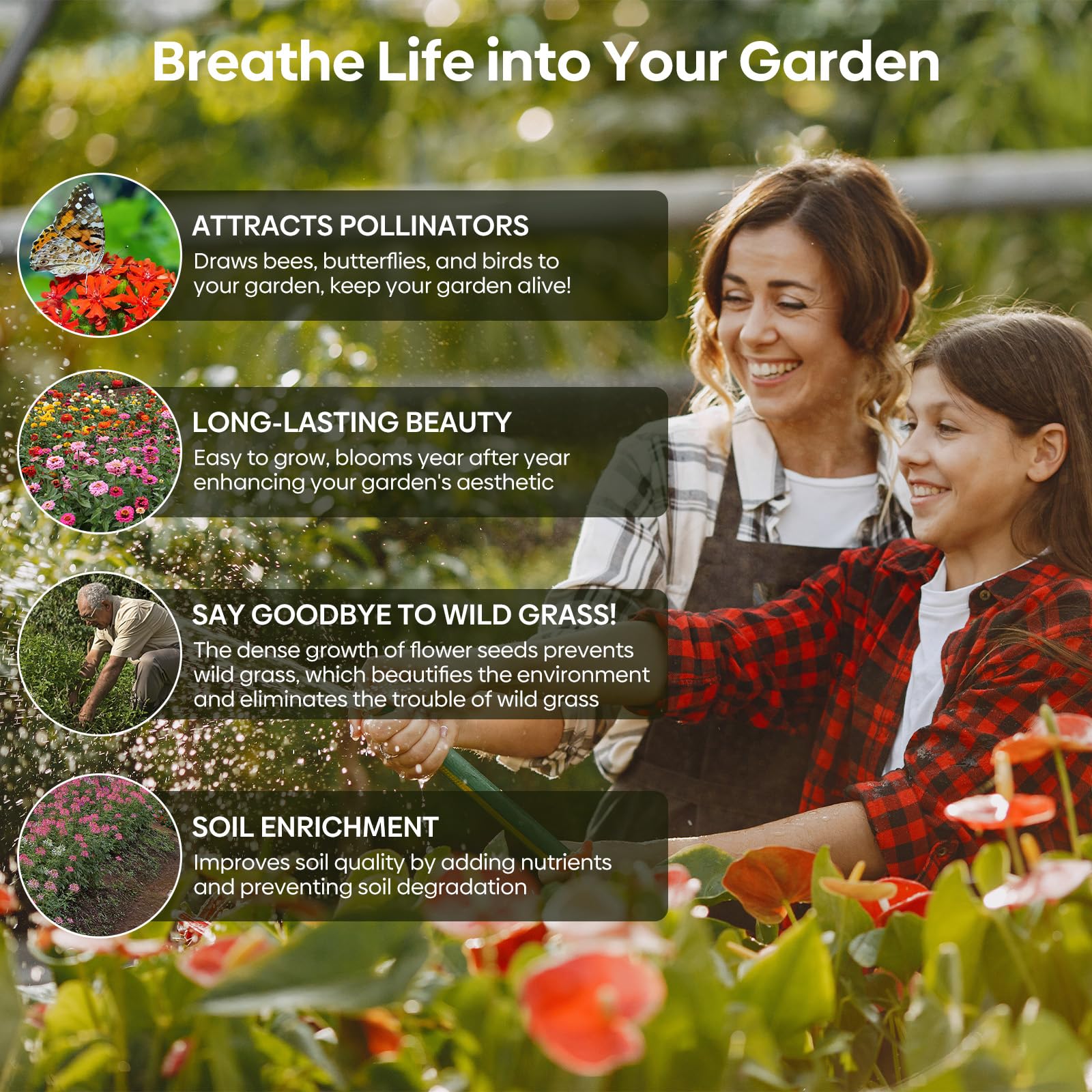 Groundio Wildflower Seeds Bulk garden attracts pollinators for a lively outdoor space.