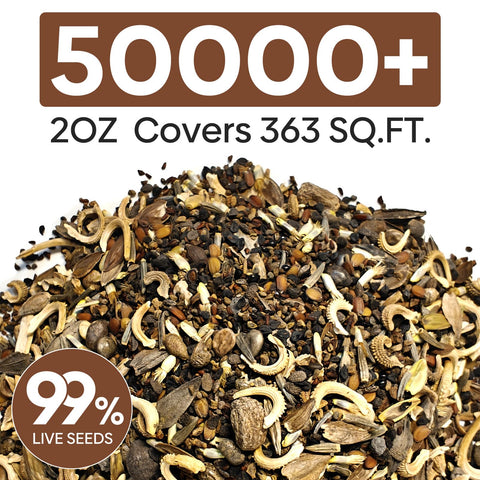 Groundio Wildflower Seeds Mix ready-to-plant blend for spring sowing