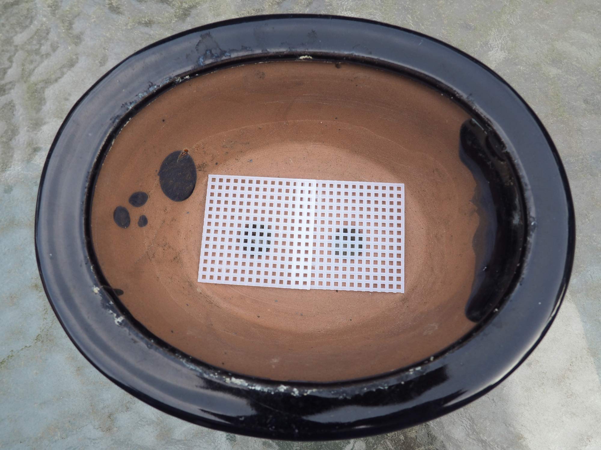 Grow A Bonsai Tree 2mm hole screen close-up emphasizing reduced soil loss