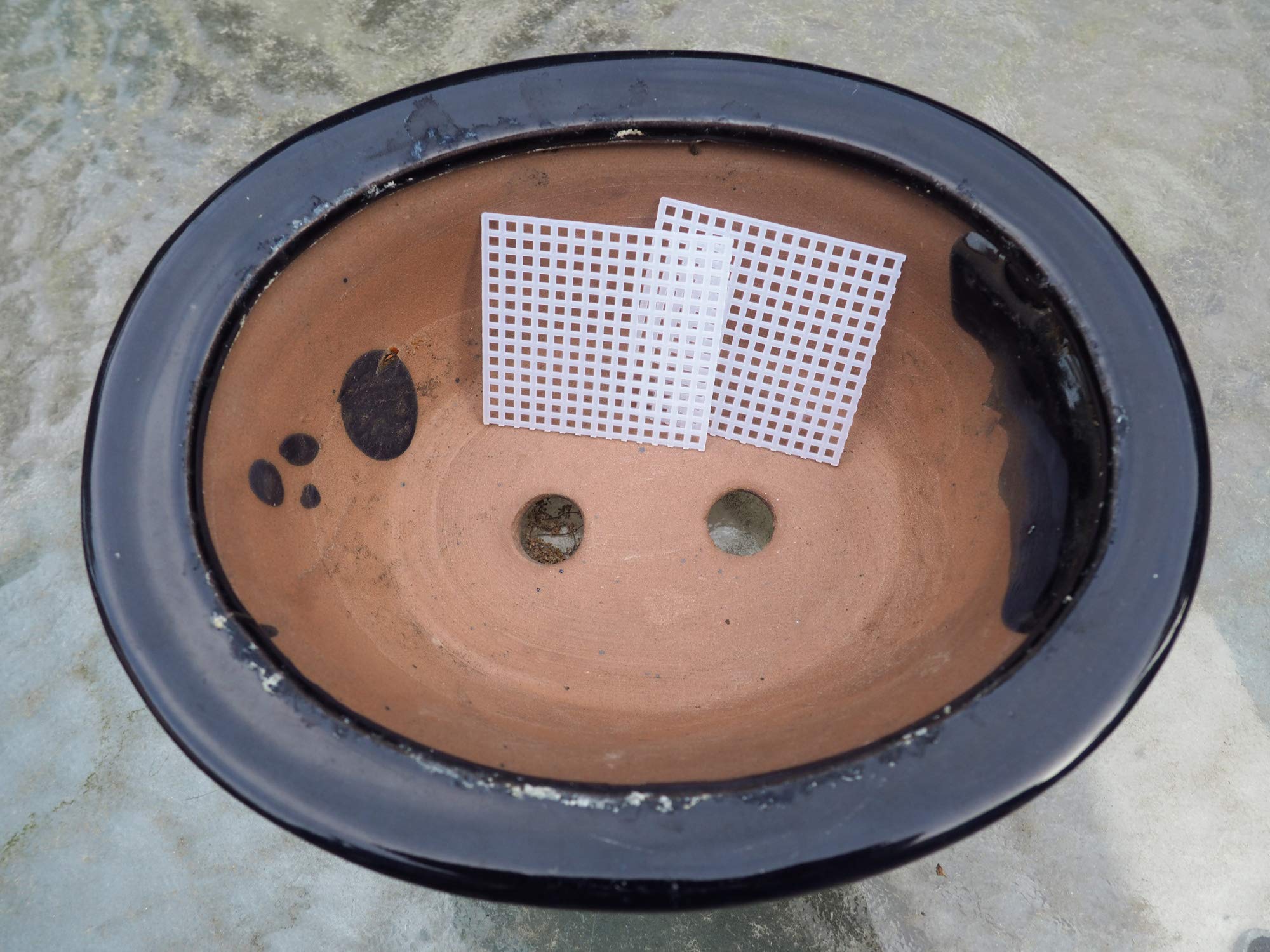 Grow A Bonsai Tree bonsai pot protection image shows debris blockage and improved drainage