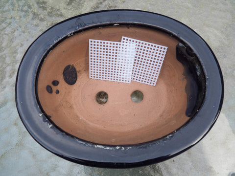 Grow A Bonsai Tree bonsai pot protection image shows debris blockage and improved drainage