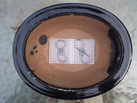 Grow A Bonsai Tree rigid mesh screen mounted on a pot rim for sturdy use