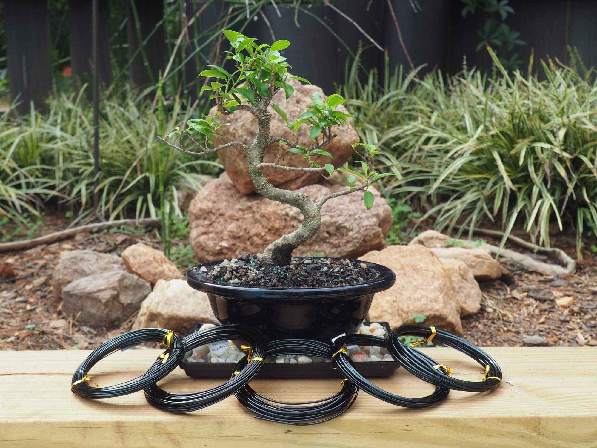 Grow A Bonsai Tree 2.0mm wire roll for thicker limbs.
