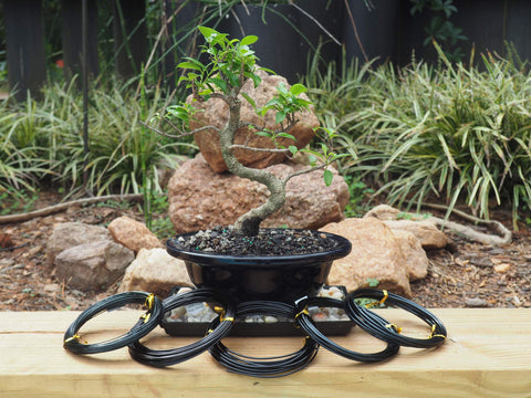 Grow A Bonsai Tree 2.0mm wire roll for thicker limbs.
