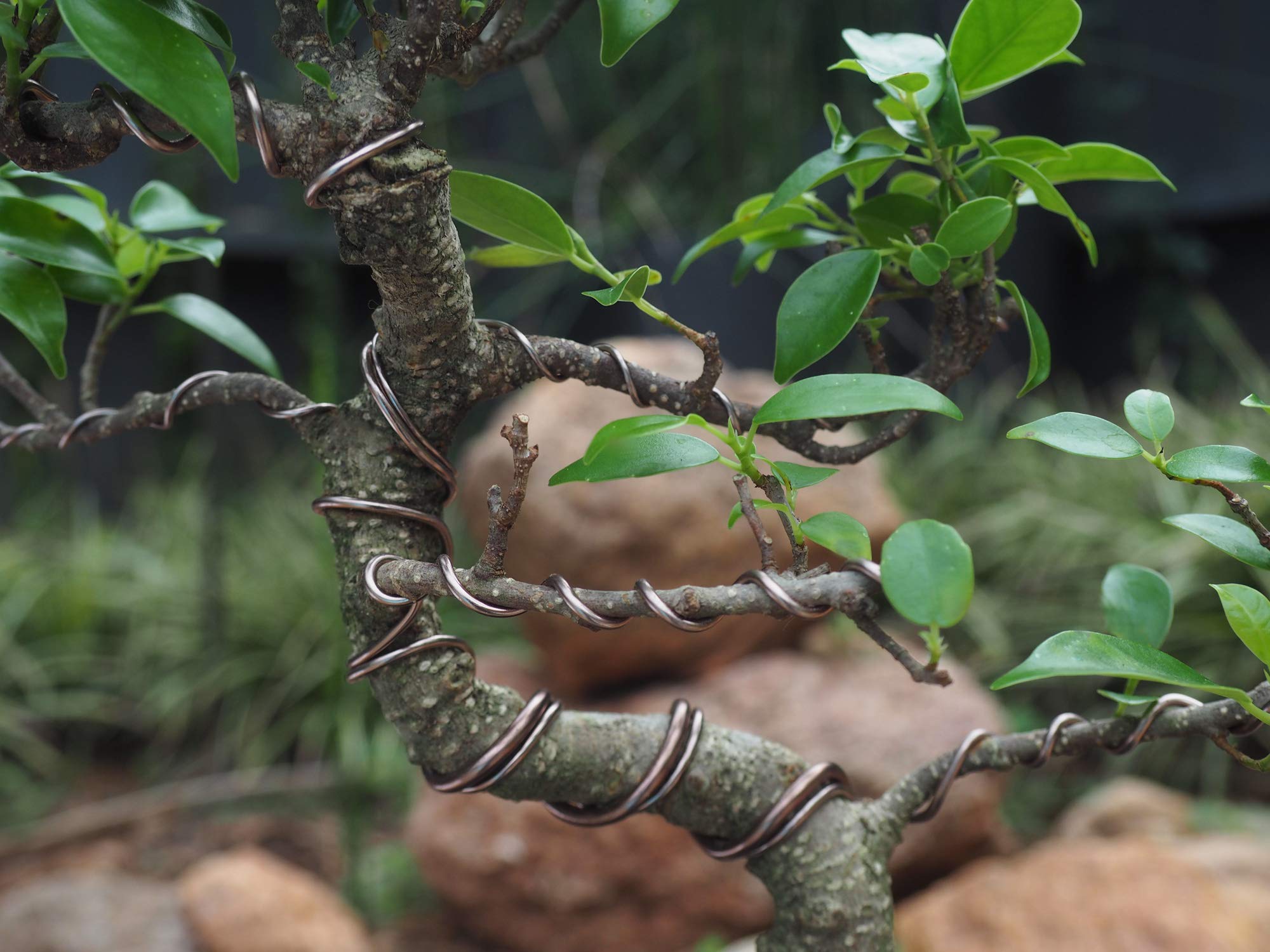 40-foot wire roll displayed on a workbench, ideal for bonsai wiring projects.