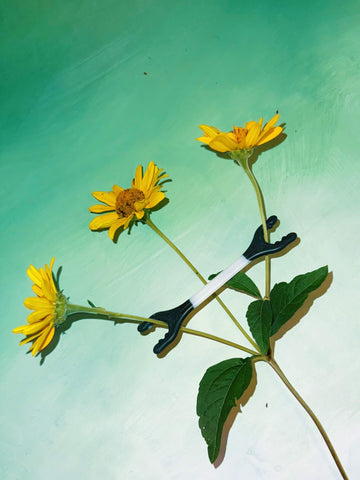 Grow Bones branch spreaders keep canopies open during hang-drying.