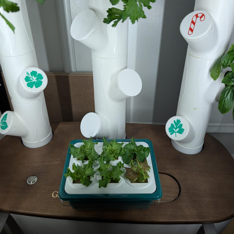 Grow Cubes adjustable humidity vent enables tailored germination conditions.