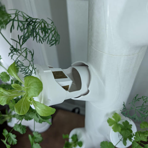 Grow Cubes compact footprint fits small spaces while supporting efficient seed starting.