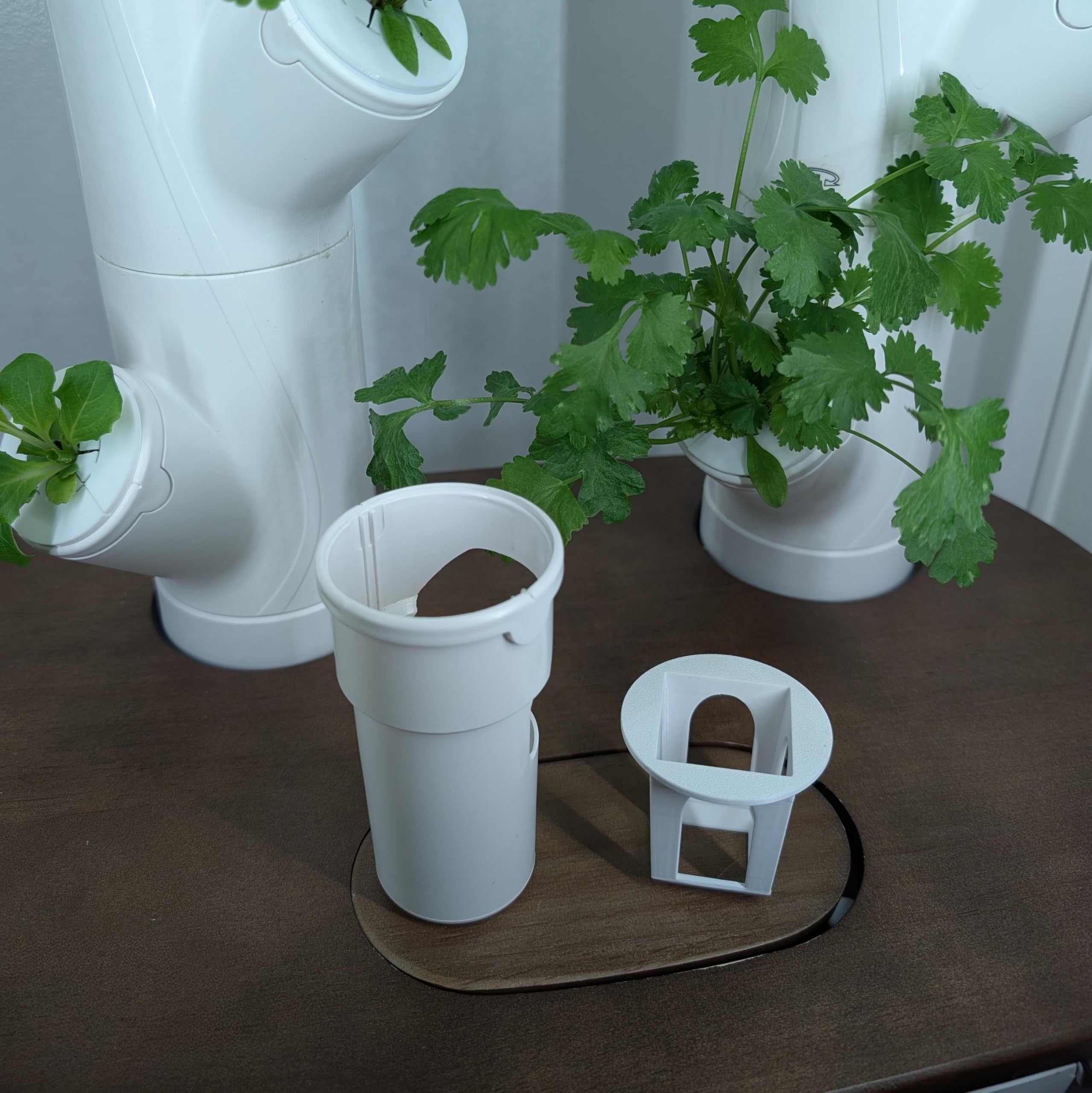 Grow Cubes are Gardyn-compatible for seamless integration with your hydroponic system.