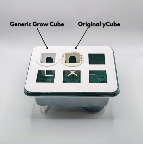 Grow Cubes holder tray keeps components organized for easy setup and reuse.