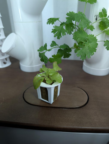 Grow Cubes seed starter kit close-up showcases compact, space-saving design.