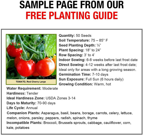 Grow For It herb, fruit and vegetable seeds for home gardening