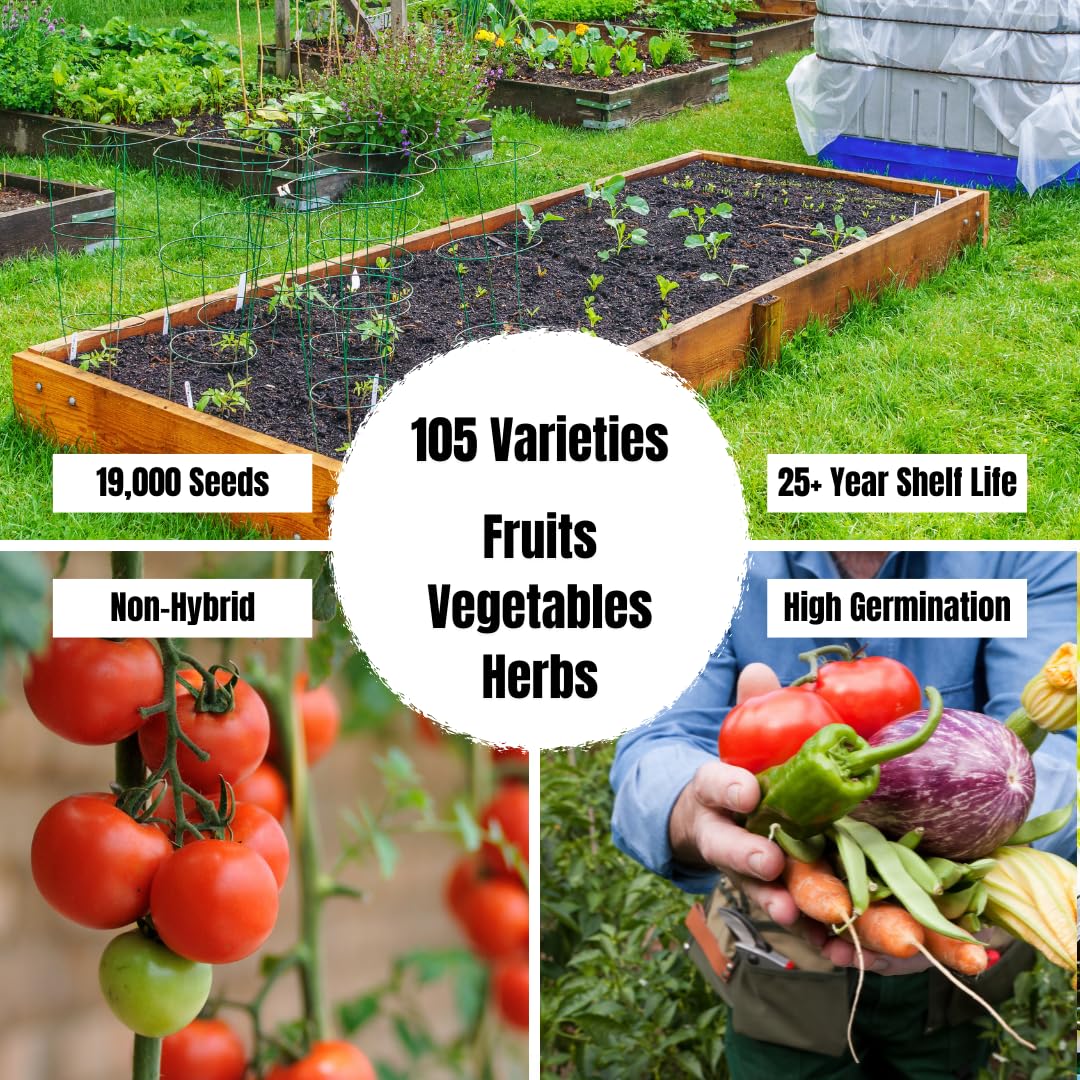 Grow For It high germination seeds ready for productive planting