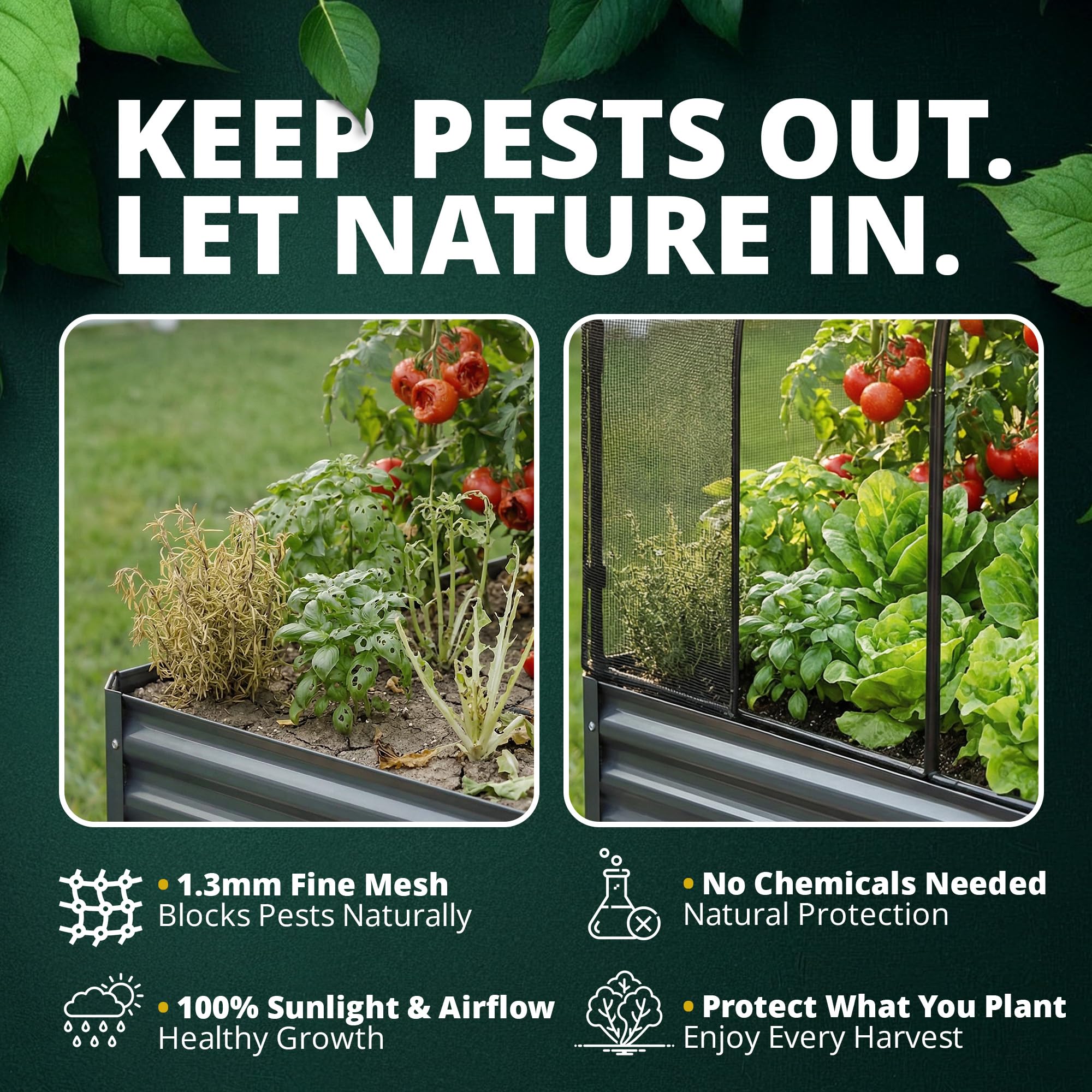 Grow Master steel frame durability demonstrates rust-resistant construction for year-round use