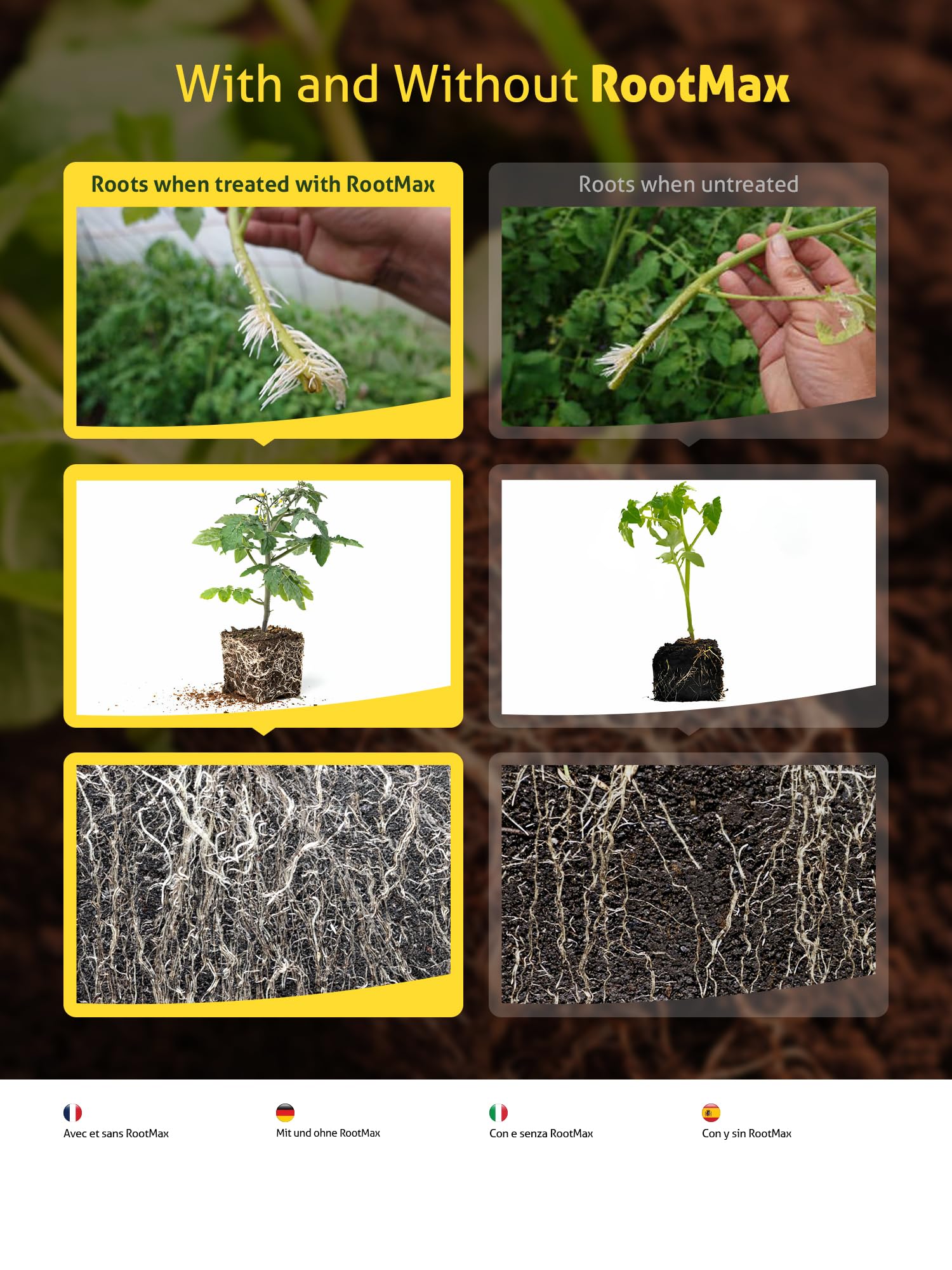 Grow Mate RootMax dipping cuttings demonstrates easy propagation with powder coating