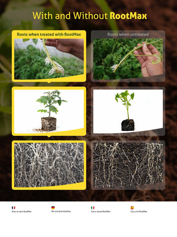Grow Mate RootMax dipping cuttings demonstrates easy propagation with powder coating