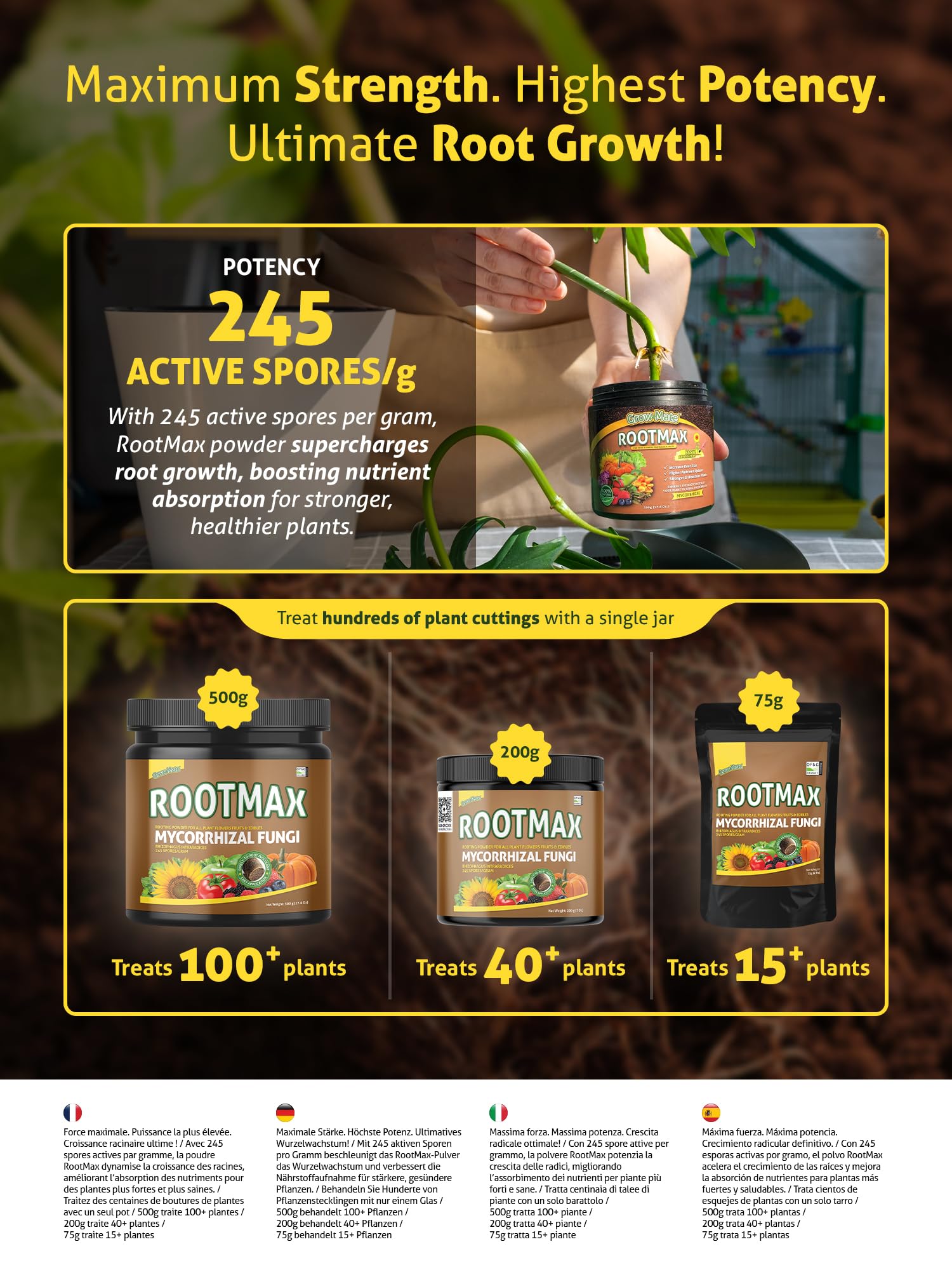 Grow Mate RootMax houseplant application near base supports indoor plant vigor