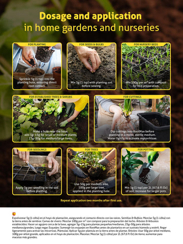 Grow Mate RootMax planting-hole application contacting roots during transplant.