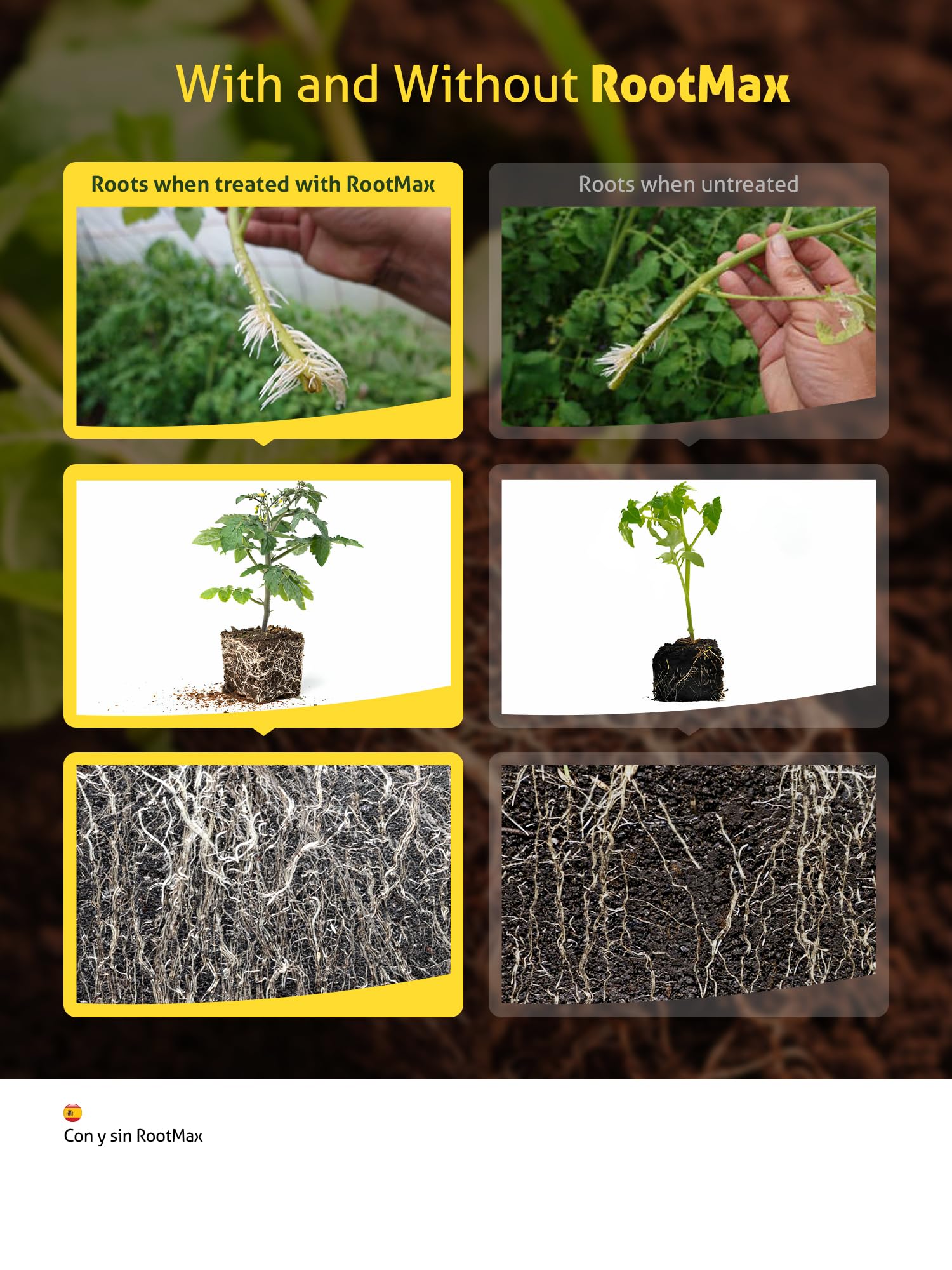 Grow Mate RootMax powder dispensing scoop demonstrates easy dosing for propagation.