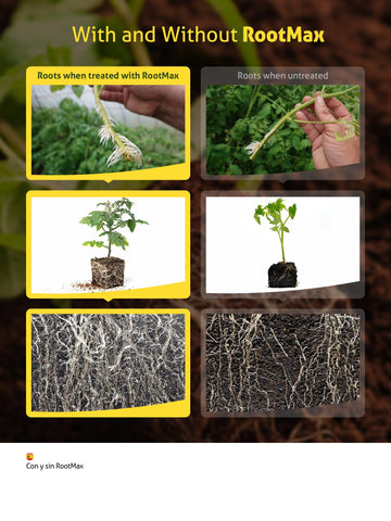 Grow Mate RootMax powder dispensing scoop demonstrates easy dosing for propagation.