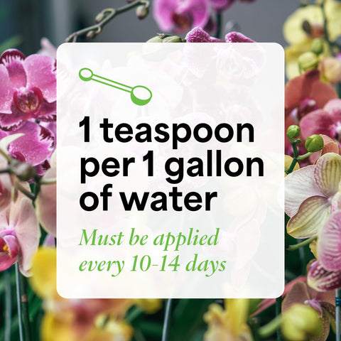 Grow More 10oz bottle enables convenient weekly applications