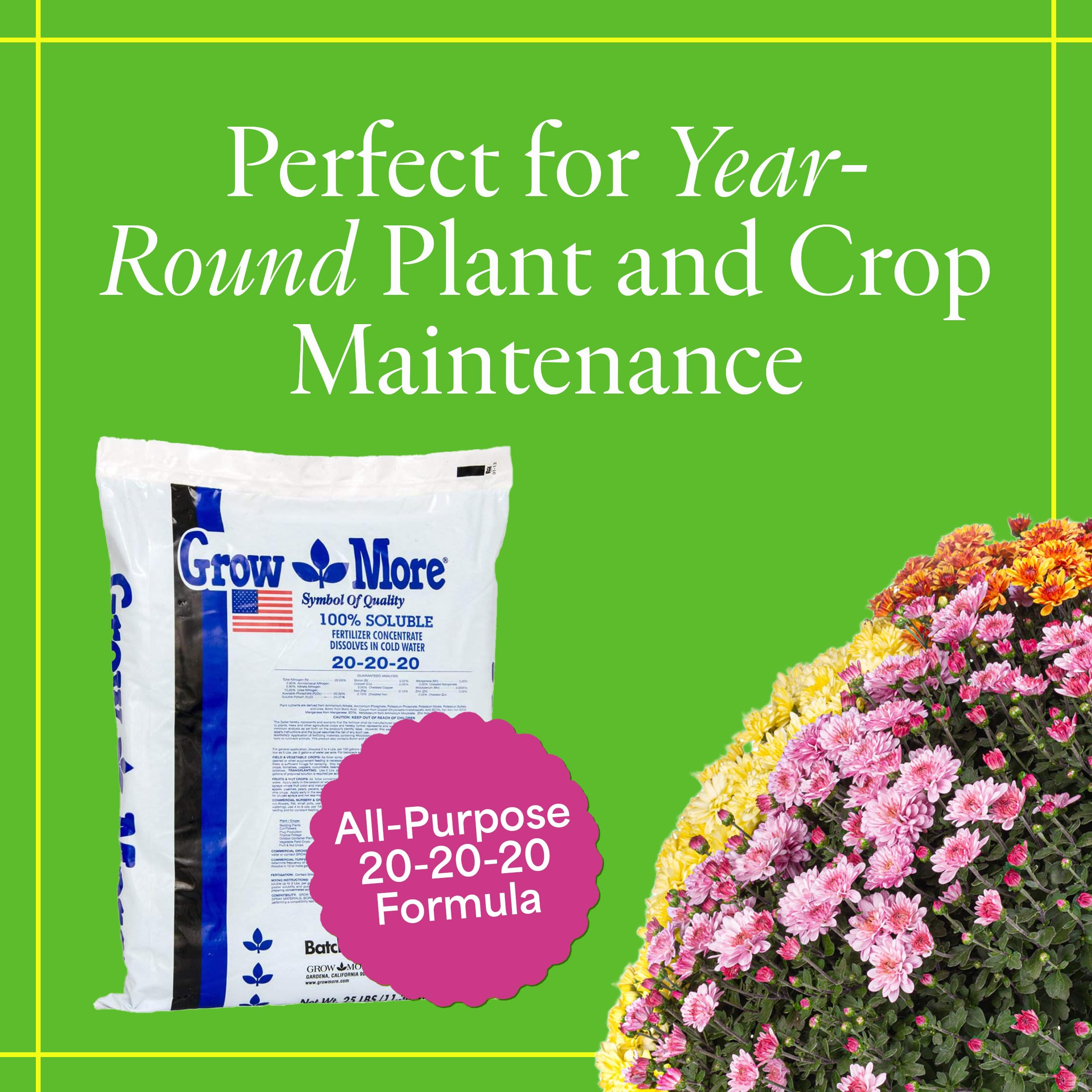 Grow More 20-20-20 dissolving in water for easy application
