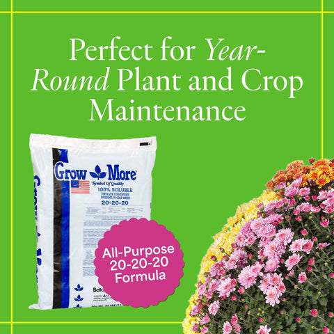 Grow More 20-20-20 dissolving in water for easy application