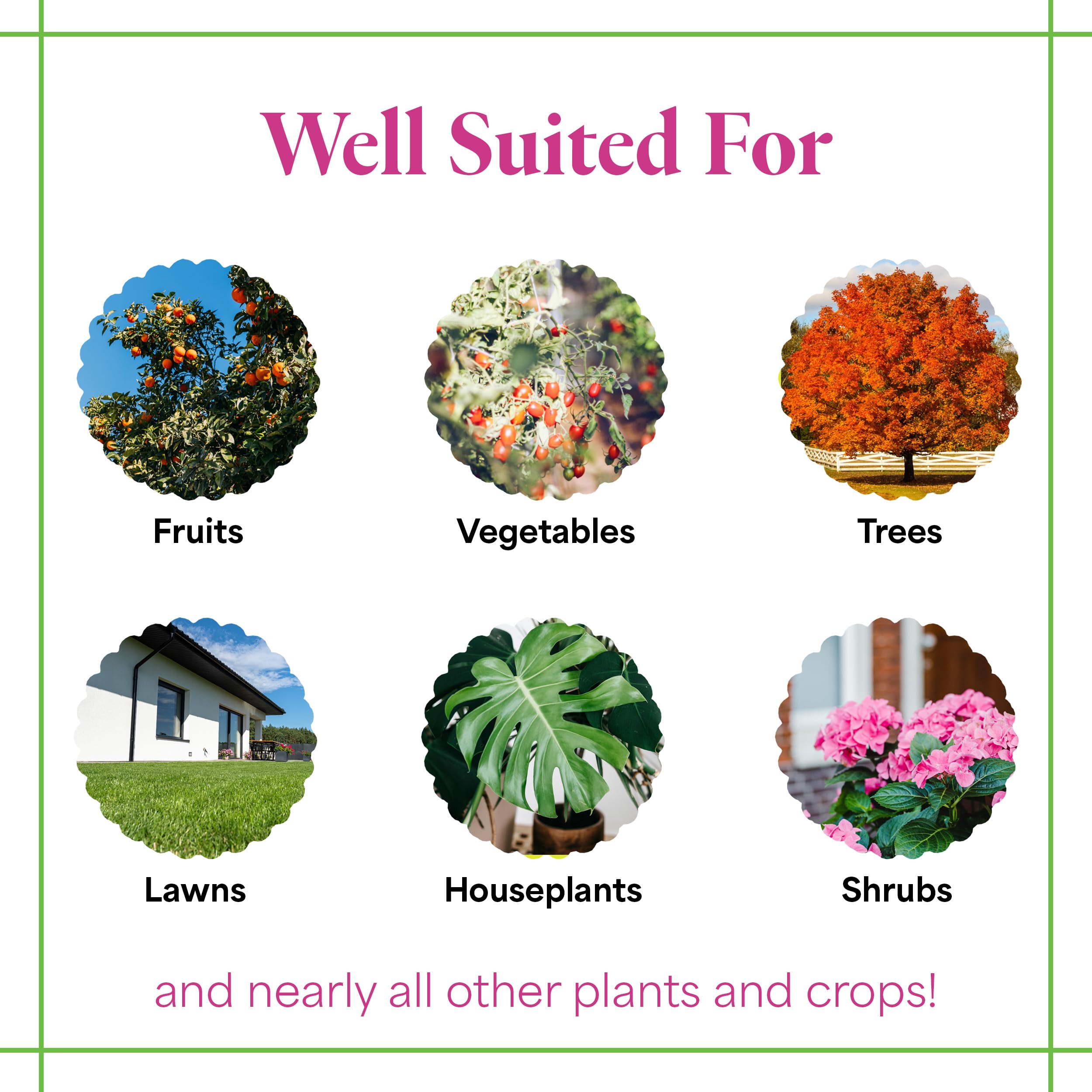 Grow More All-Season Plant Food bottle label highlighting chelated micronutrients