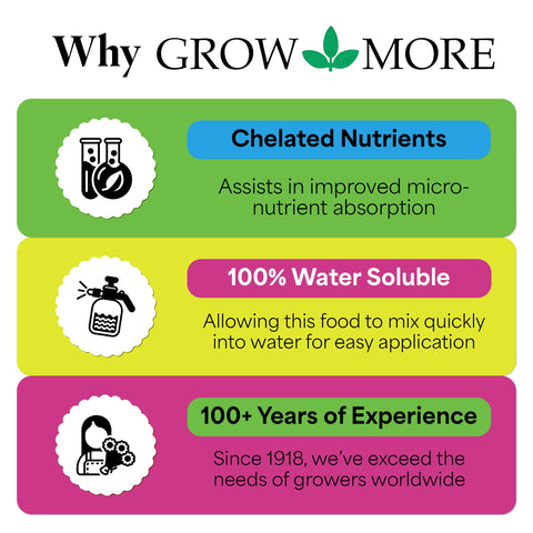 Grow More All-Season Plant Food supports indoor plants with balanced nutrition.