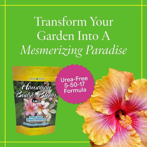 Grow More bloom booster closeup highlights vibrant buds and enhanced color potential.