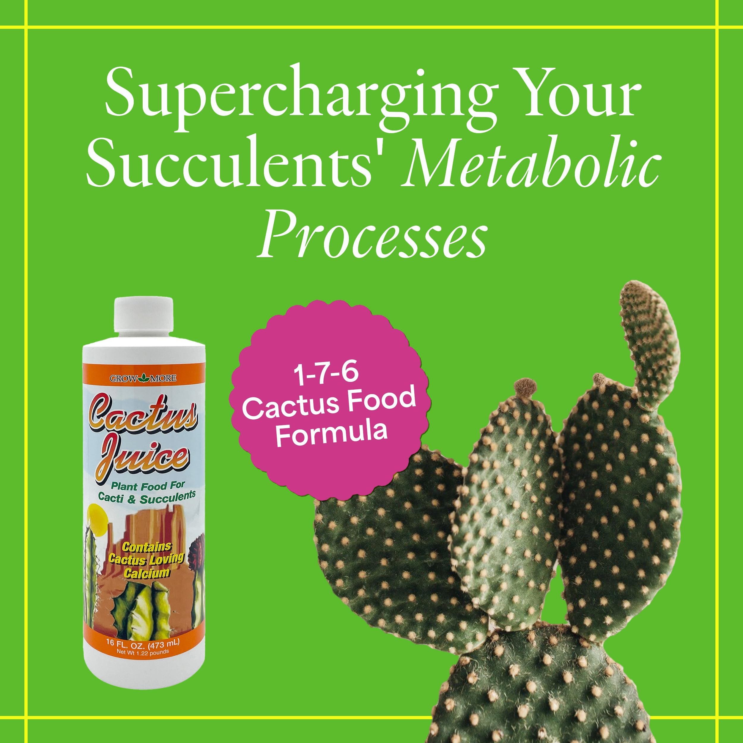 Grow More Cactus Juice calcium-rich formula for healthier roots