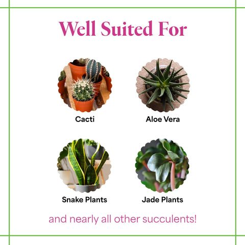 Grow More Cactus Juice promotes strong root development in soil