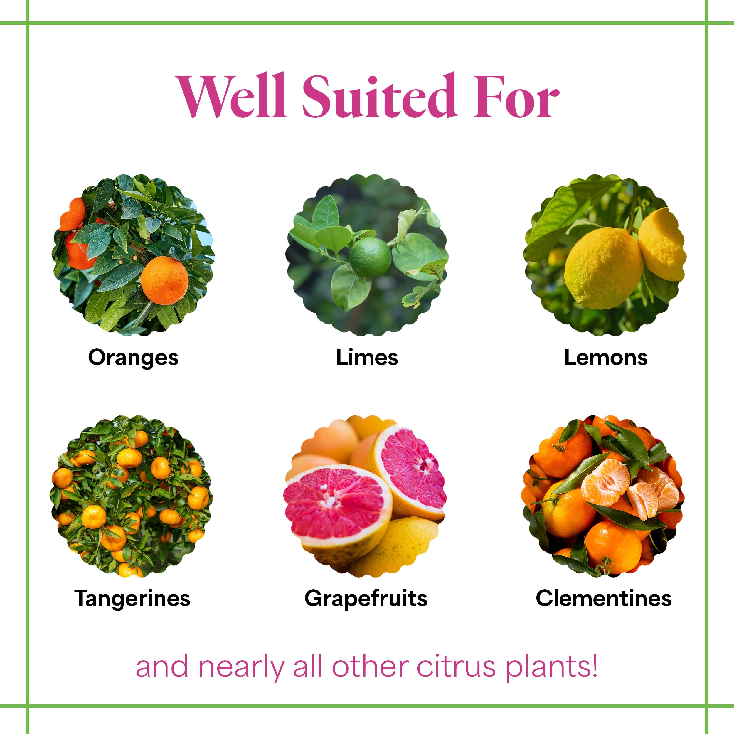 Dissolving Grow More Citrus Grower Blend in water demonstrates even foliar-ready mix.