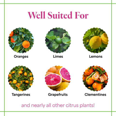 Dissolving Grow More Citrus Grower Blend in water demonstrates even foliar-ready mix.