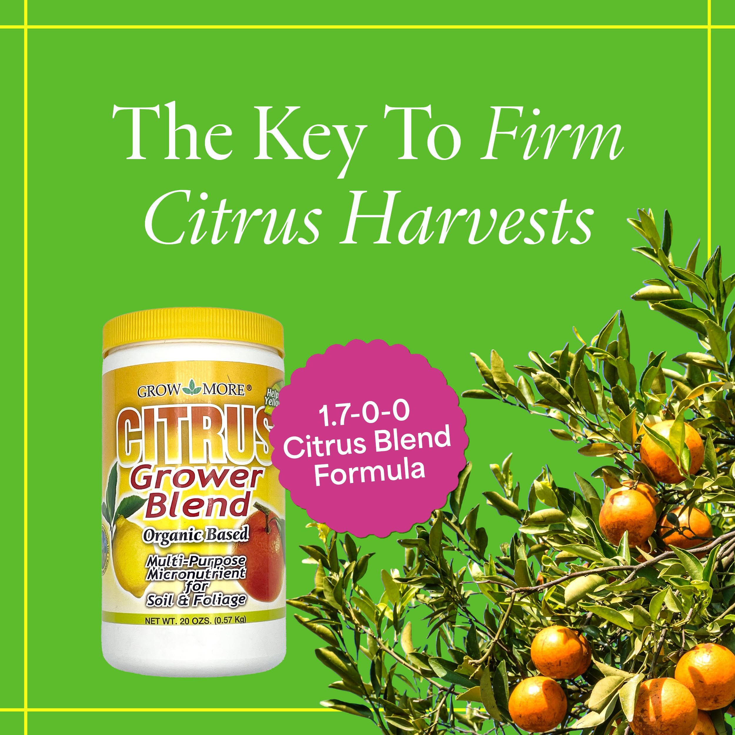 Close-up of Grow More Citrus Grower Blend label highlighting chelated micronutrients.