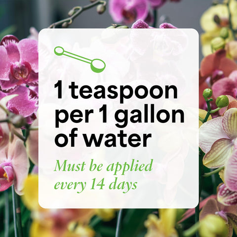 Grow More easy feeding instructions help balanced dilution for orchids.