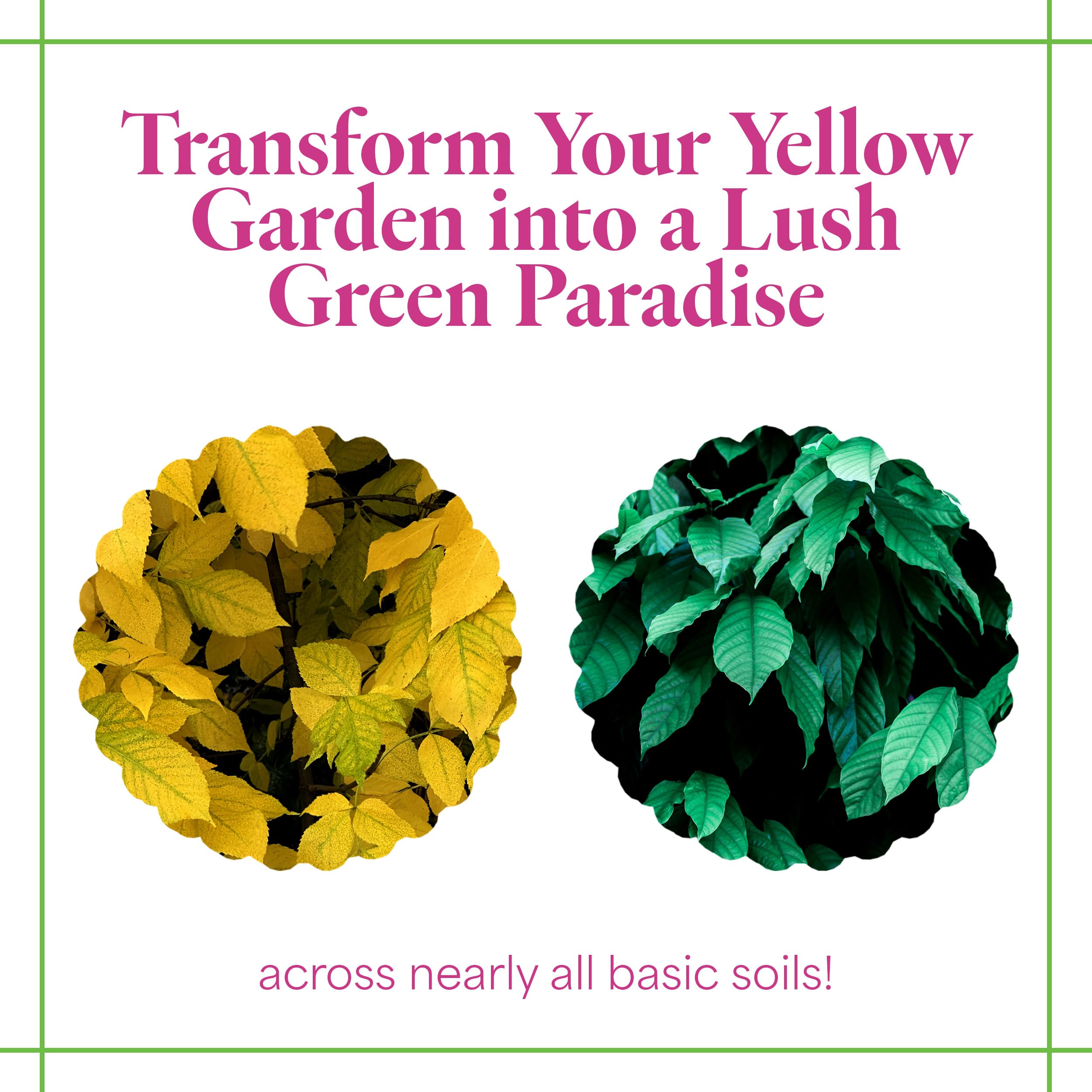 Grow More EDDHA Iron Chelate dissolves in water for easy integration.