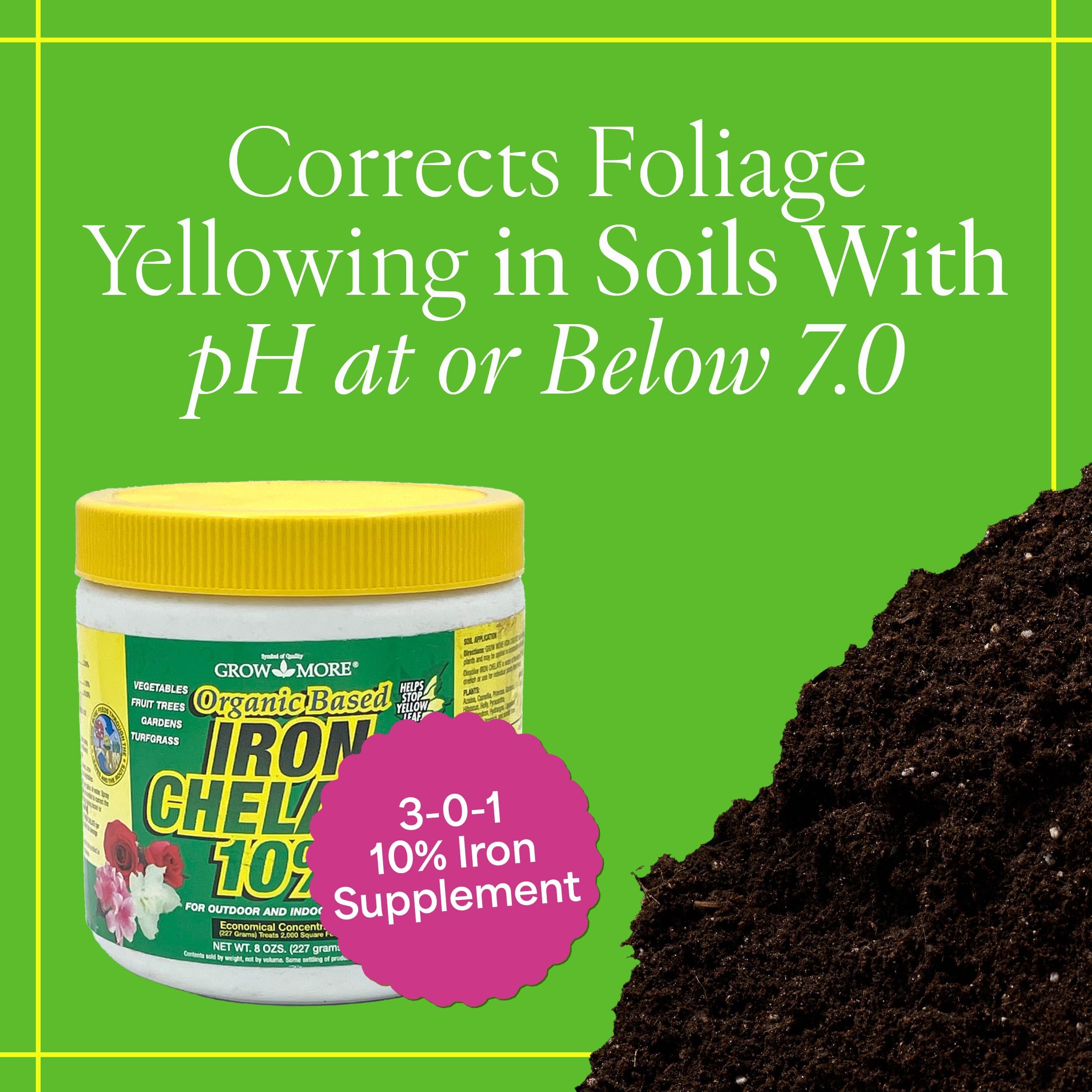 Grow More iron chelate solution being diluted for even coverage.