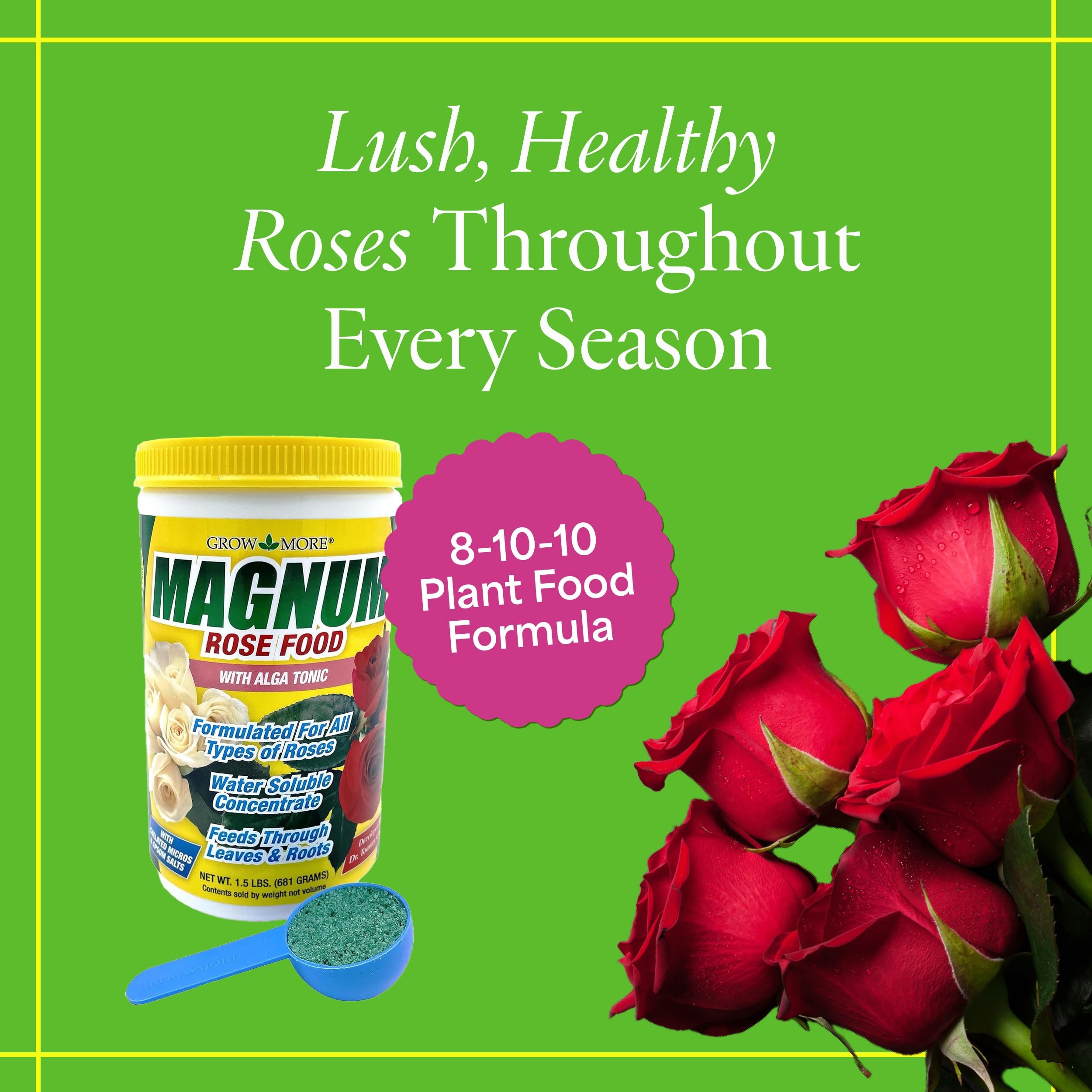 Grow More Magnum Rose Fertilizer dissolving in water for even nutrient uptake