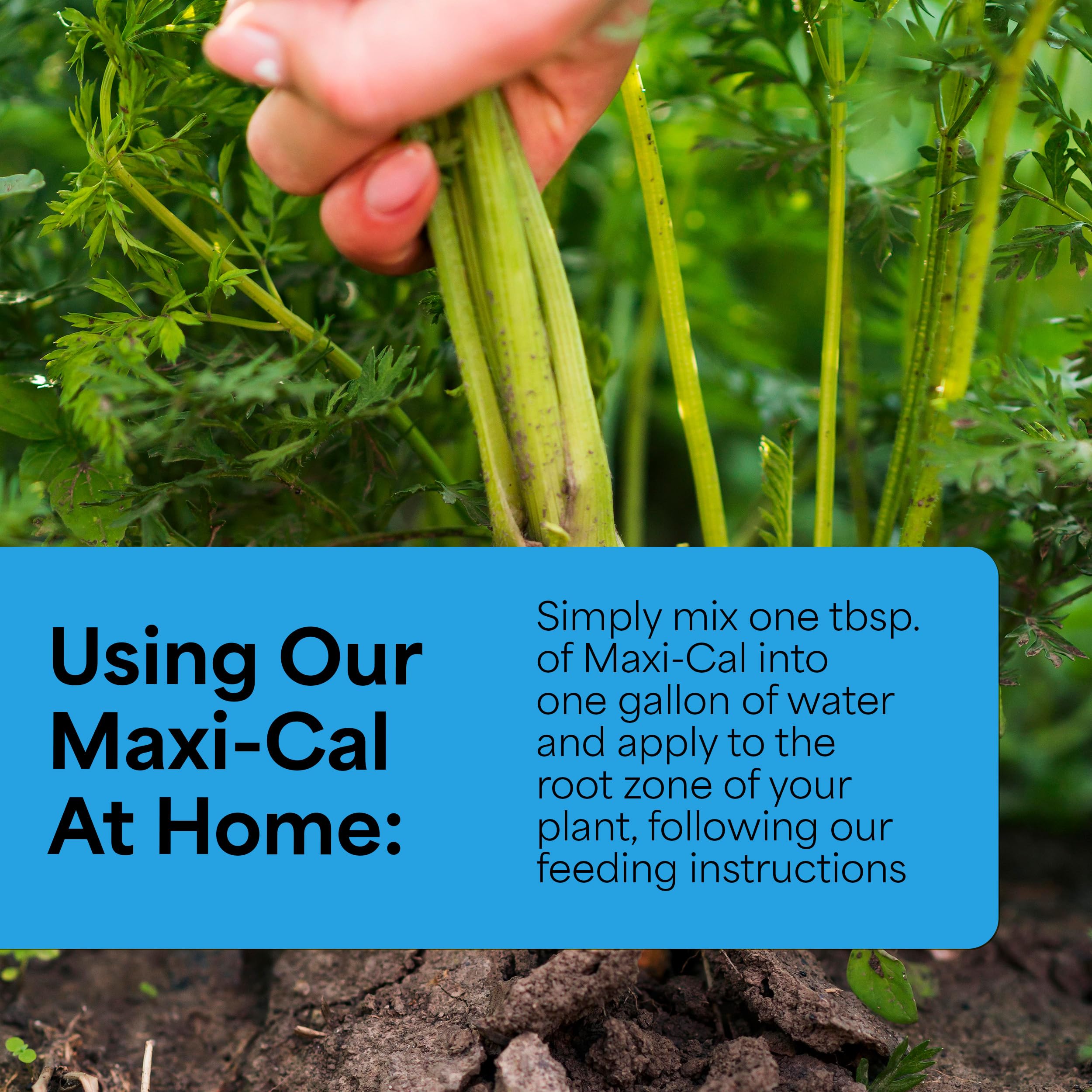 Grow More Maxi-Cal applied to vegetables demonstrates targeted crop nutrition.