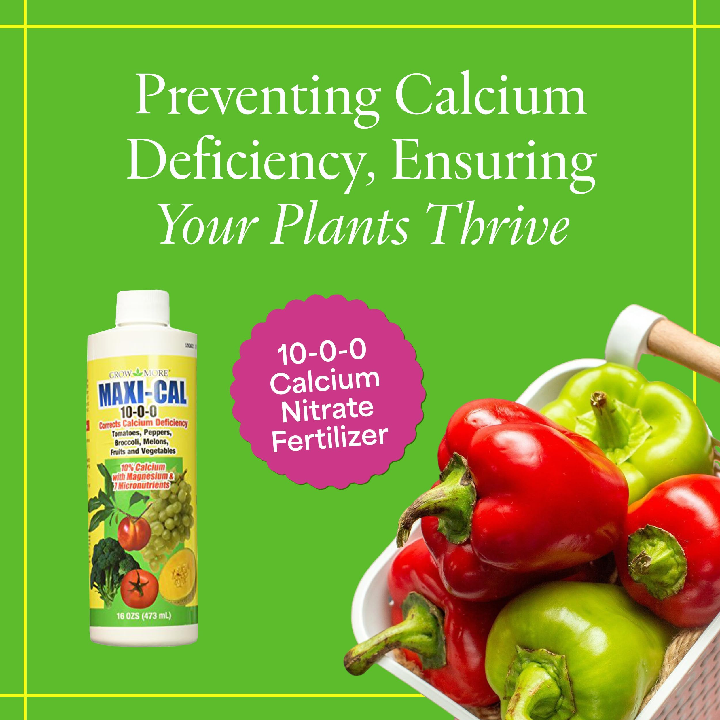 Pouring Maxi-Cal bottle shows easy garden application.