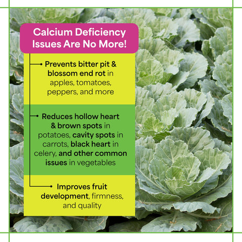 Close-up of Maxi-Cal label highlighting the 10-0-0 formula and calcium.