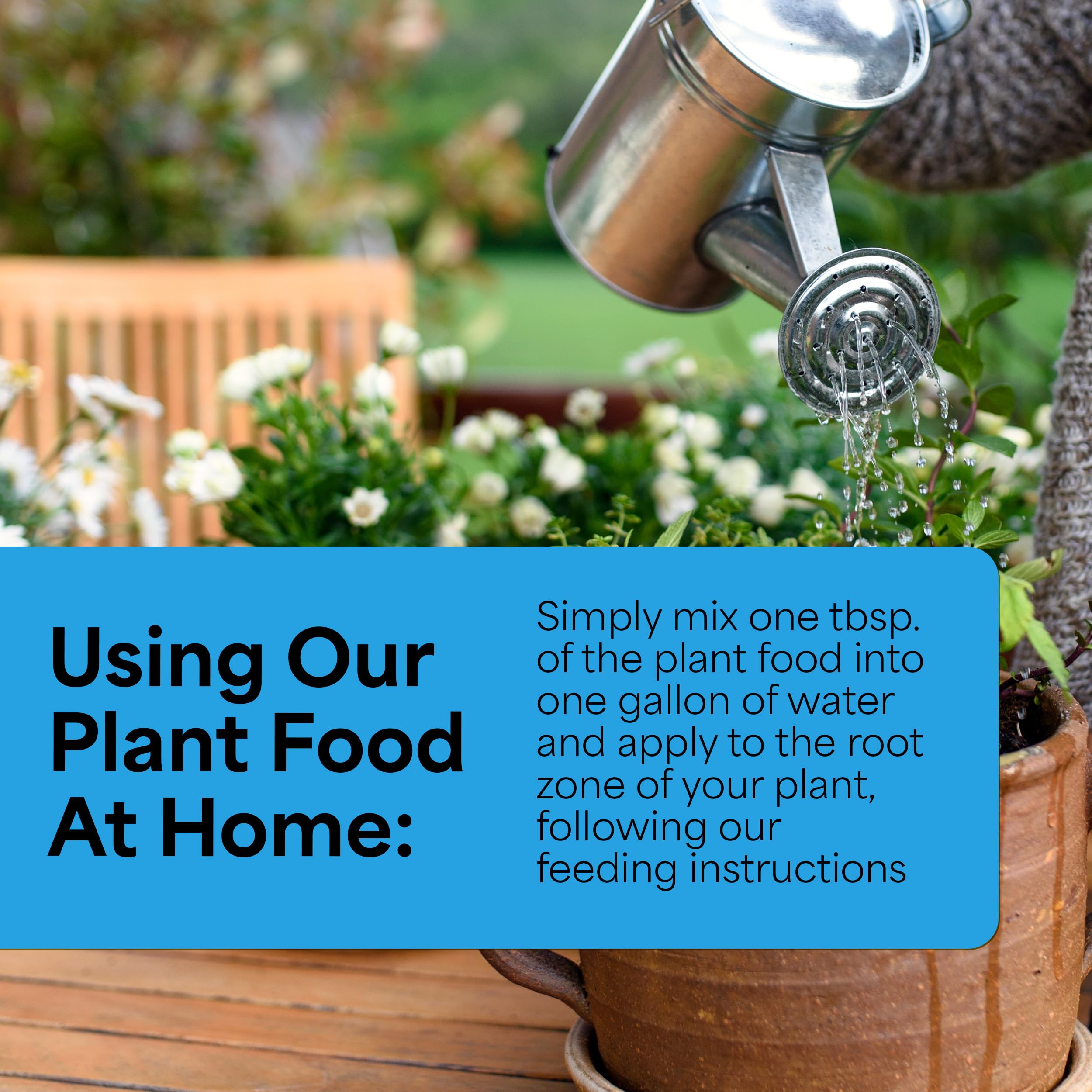Grow More micronutrient package delivers essential trace elements for healthy foliage.