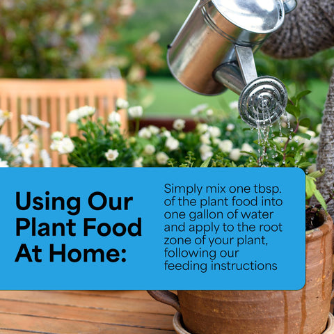Grow More micronutrient package delivers essential trace elements for healthy foliage.
