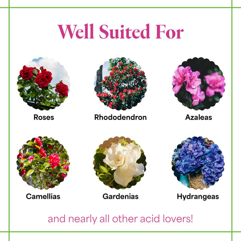 Grow More nitrogen-boosting formula supports vigorous vegetative growth in spring.