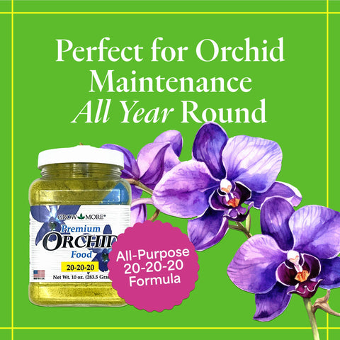 Grow More 20-20-20 orchid food supports all orchid types across media