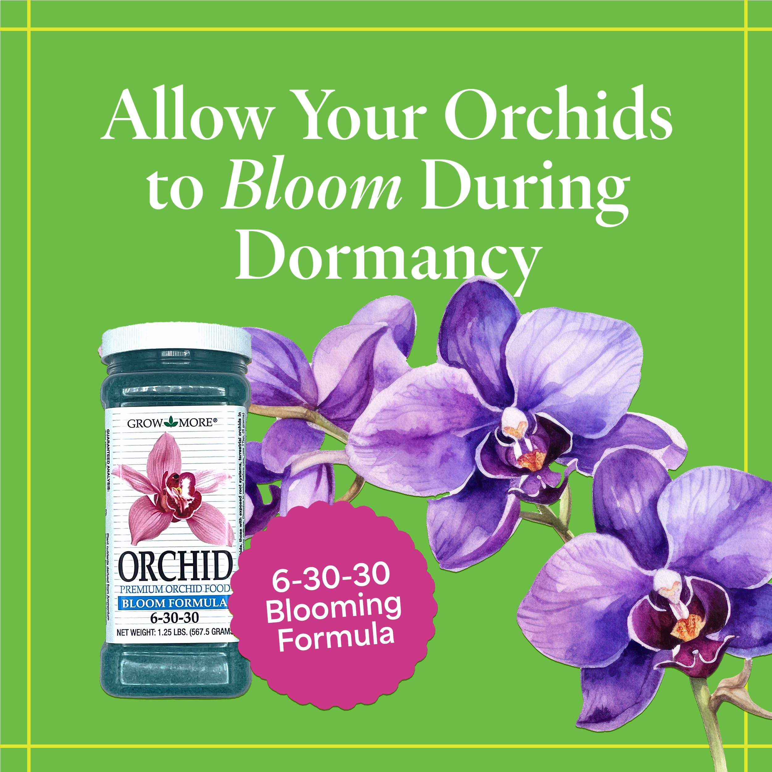 Grow More orchid food dissolving in water for easy feeding schedule