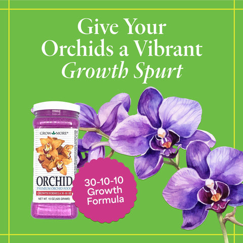 Grow More Orchid Food dissolving in water ready for easy feeding.