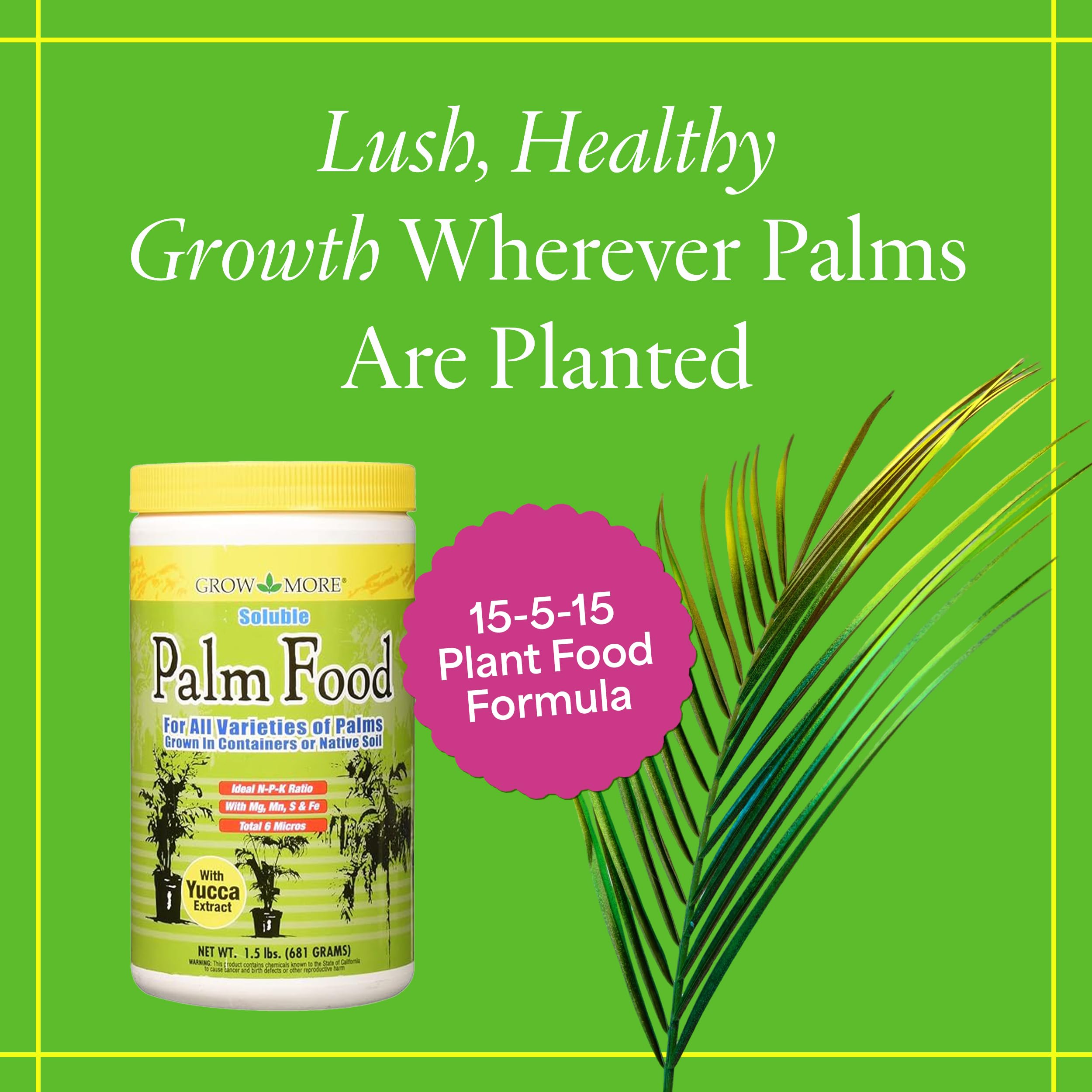 Dissolving Grow More Palm Food in water for fast-acting feeding.