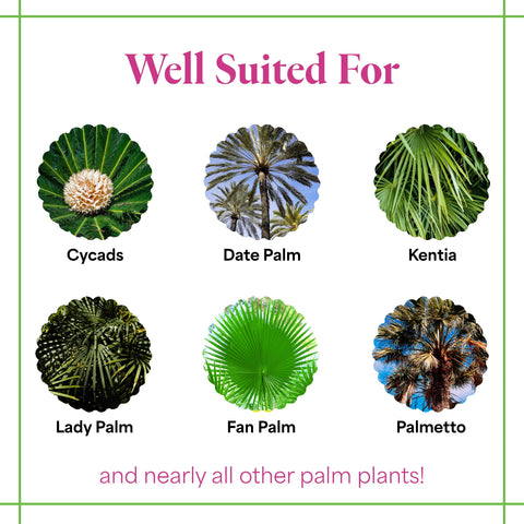 Foliar spray using Grow More Palm Food for supplemental foliage.